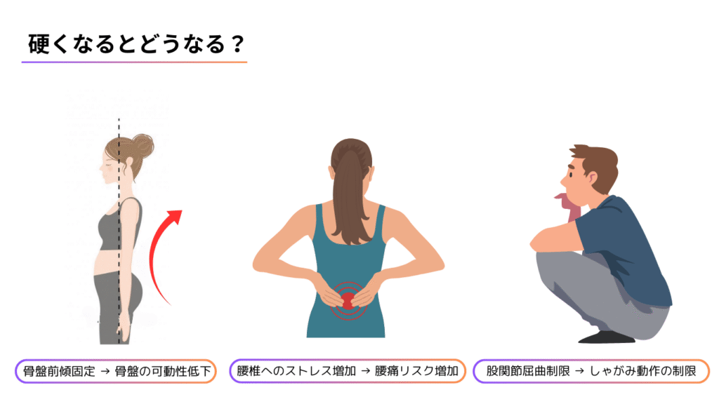 【専門家向け】姿勢改善に必須の「大臀筋」徹底解剖