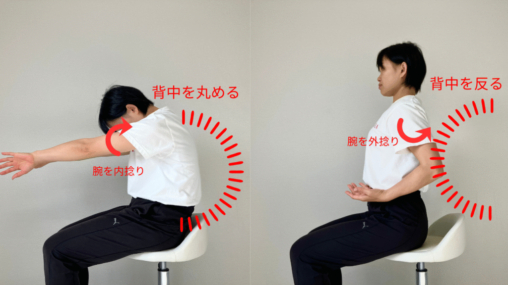 椅子に座ってキャット＆カウ(骨盤前後傾&肩甲骨内外転)