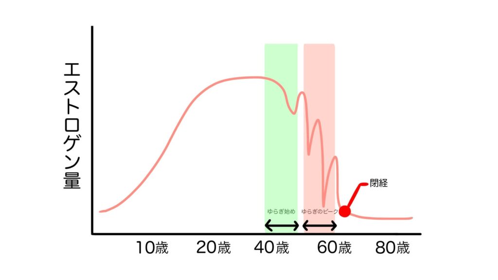 エストロゲン量グラフ