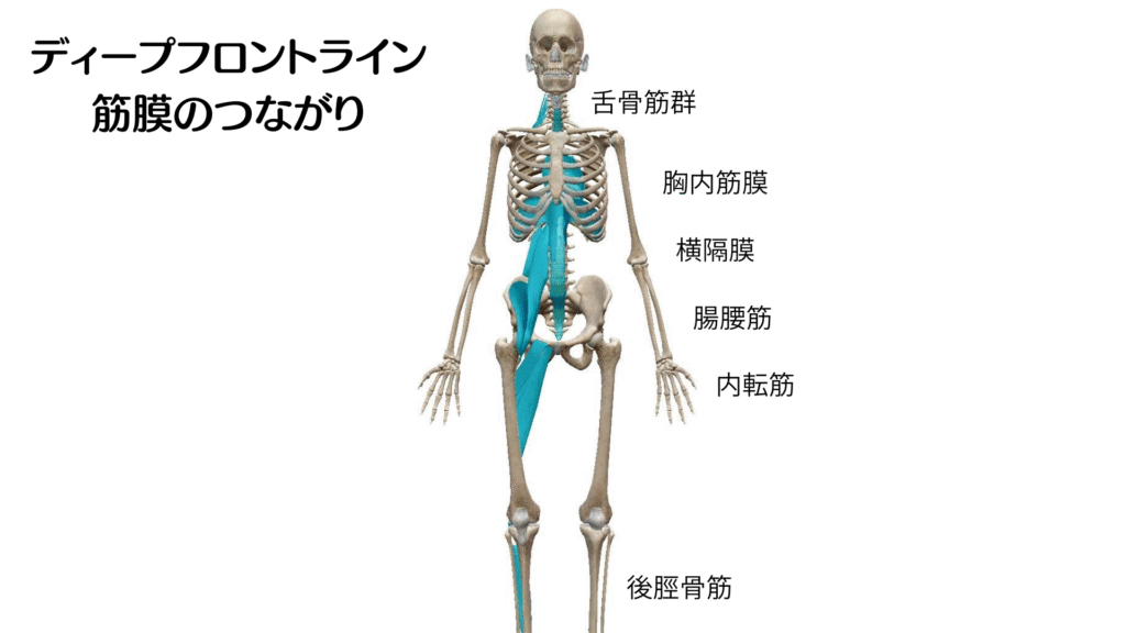 ディープフロントライン